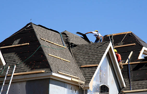 Best Gutter Installation and Roofing  in Mcminnville, TN