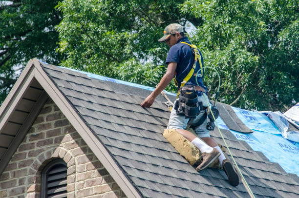 Best Roof Replacement Cost  in Mcminnville, TN